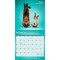 Plato; Yoga Cats Together OFFICIAL | 2027 12 x 24 Inch (Hanging) Monthly Square Wall Calendar; Category:Wall Calendars; Image:4